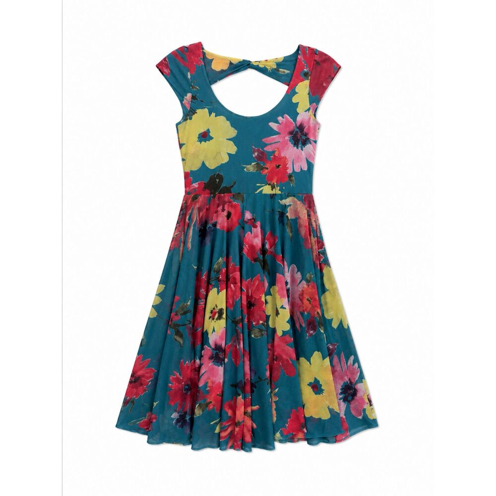 Anthropologie Weston Wear Fit Flare Quinby Dress Sz XS Open Back Mesh USA Fairy